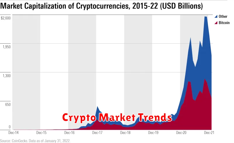 Crypto Market Trends